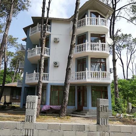Hotel Shekvetili Shekhvetili Esterno foto